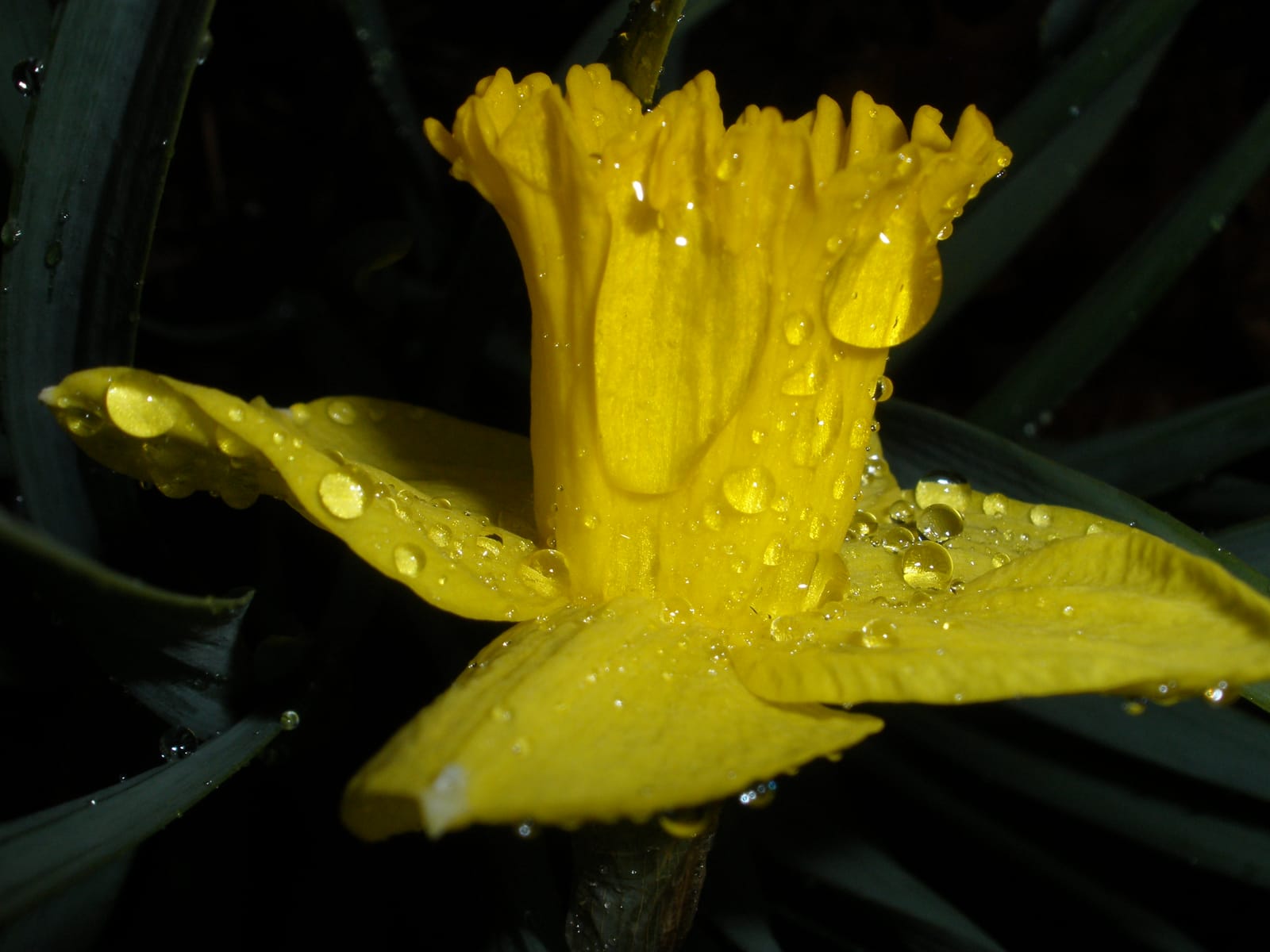 Conference Update—Happy Spring Equinox!