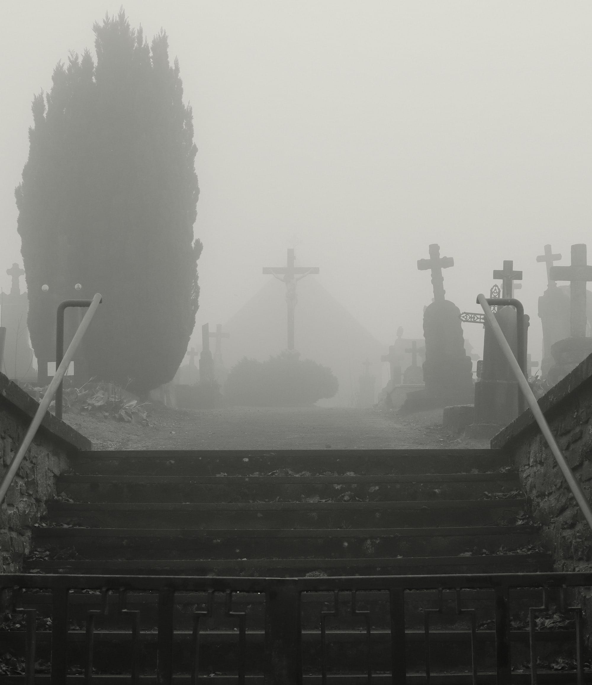 Urgent Update on Patriot Tina Peters and the Battle of the Bulge